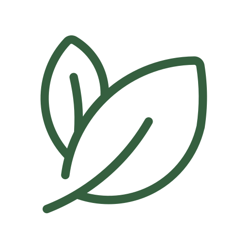 Leaf removal and debris cleaning